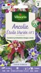 Fleurs - Ancolie Étoile Variée - PACKAGING_RECTO